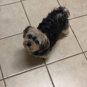 Meet your Posher, Madison